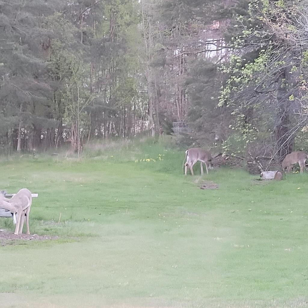 Paeivaekulma Villa Naantali Luaran gambar