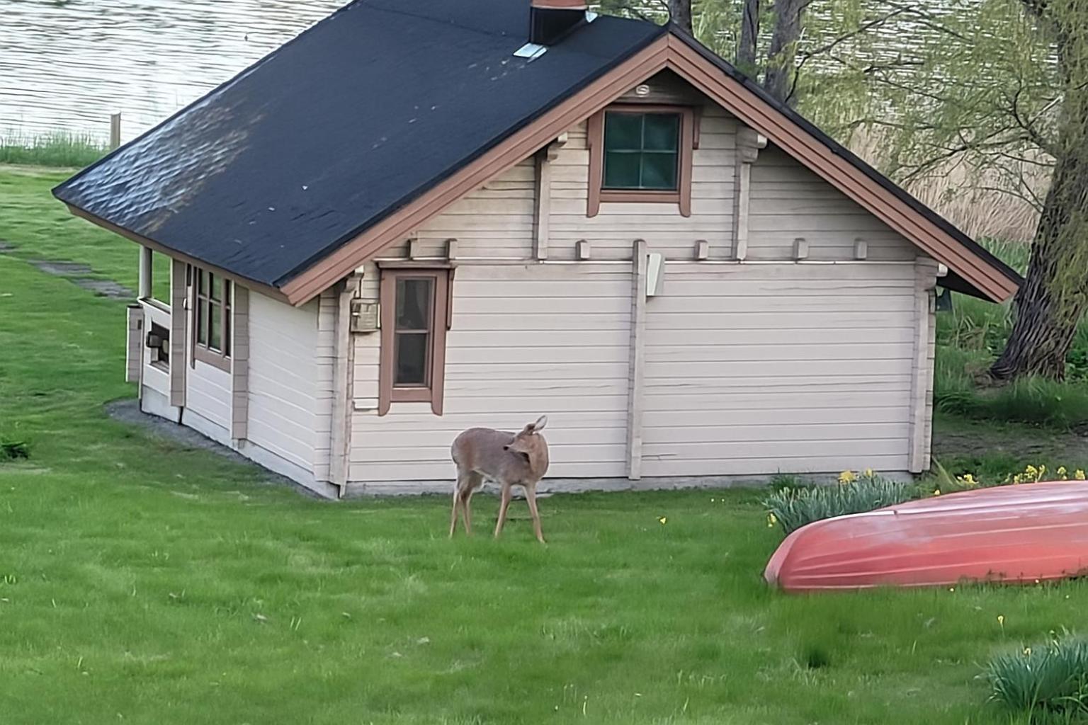 Paeivaekulma Villa Naantali Luaran gambar